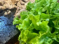 -火炉情韩国料理店(古田路店)