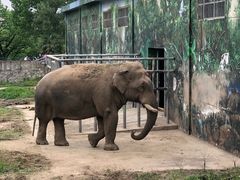 -西安秦岭野生动物园