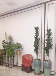 -加减美医美连锁品牌