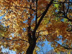 -天津盘山风景名胜区