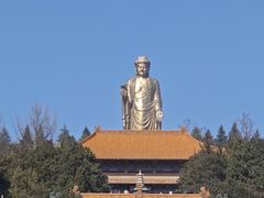 -中原大佛景区