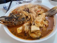 -煲来饱去冷水鱼