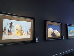 -罗红摄影艺术馆