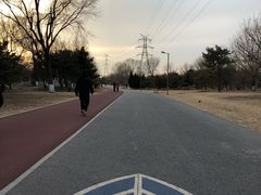 -奥林匹克森林公园北园-停车场