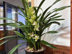 -八珍手工水饺·妈妈的爱(传芳巷店)