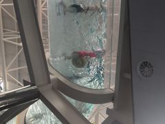 -天山海世界
