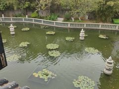-碧江金楼