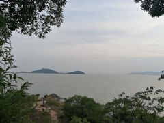 -上海市保健医疗中心(华东疗养院)