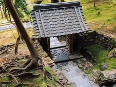 -西芳寺(苔寺)