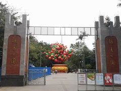 -荔湾湖公园
