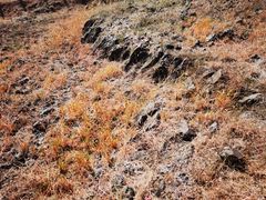 -六合国家地质公园桂子山景区