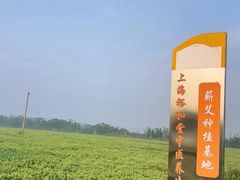 -裕和堂中医推拿艾灸(太古汇臻品店)