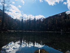 -清真老马家国华牛奶鸡蛋醪糟(正宁路店)