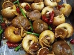 花螺-胶东海鲜大排档(北太平庄店)