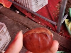 -双福水果批发市场