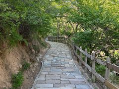 -大岭沟猕猴桃谷风景区