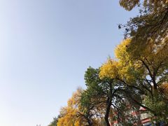 -大书房咖啡(中传国交店)