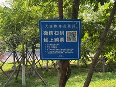 -棒棰岛宾馆景区