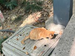 -狼山风景名胜区