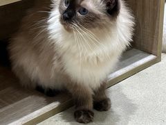 -藏猫猫咖啡主题馆(中央大道店)