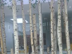 -极简口腔(总院)
