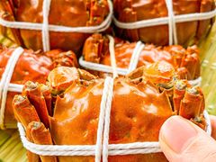-蟹天蟹地农家菜·阳澄湖大闸蟹(浅水湾店)