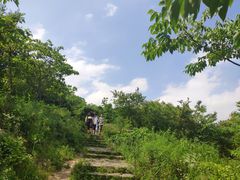 -汤山公园