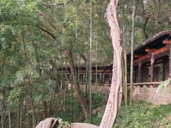 -严子陵钓台(富春江小三峡)