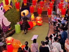 -正佳雨林生态植物园
