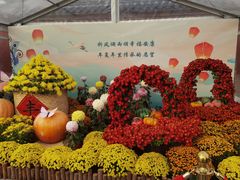 -国药中服免税(北京坊店)