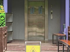 -黄海国家森林公园