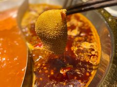 鸳鸯锅-井格重庆火锅(西直门凯德Mall店)