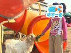 -廊坊固安福朋喜来登酒店