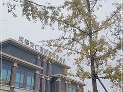 -成都安仁福朋喜来登酒店