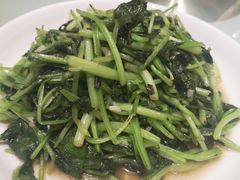 -金春禧(英雄山路旗舰店)