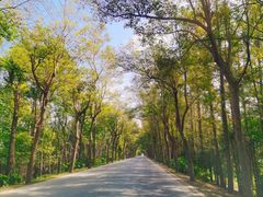 -上海海湾国家森林公园