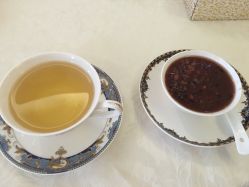 -海茱雅科技健康美容