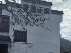 -塔川景区