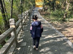 -灵岩山风景区