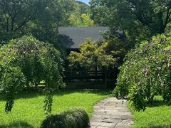 -兰亭风景区