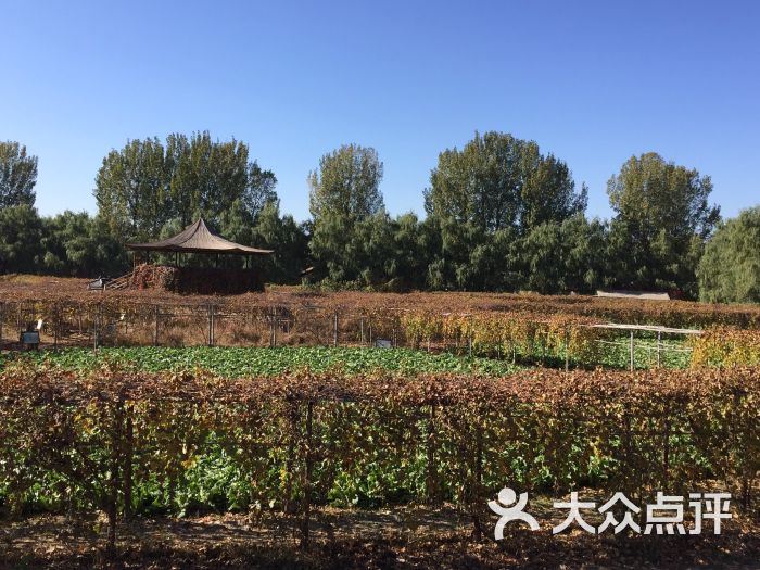 洼里乡居楼--其他图片-北京景点-大众点评网