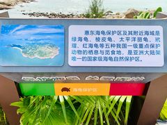 -广东惠东海龟国家级自然保护区