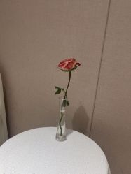 -广东韩妃整形外科医院