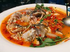 -坛宗剁椒鱼头(河西王府井店)
