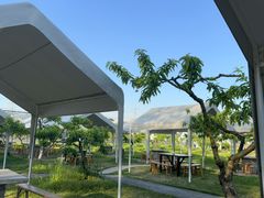 -乌村