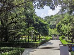 -上海佘山国家森林公园天马山园