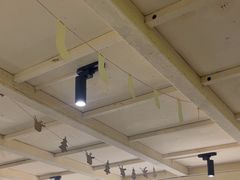 -肥家大排档(天河体育西店)