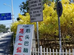 -楊家一锅(沙阳路店)