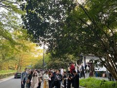 -杭州少年儿童公园