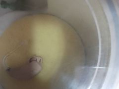 -自然之声助听器·呼吸机(贵定店)